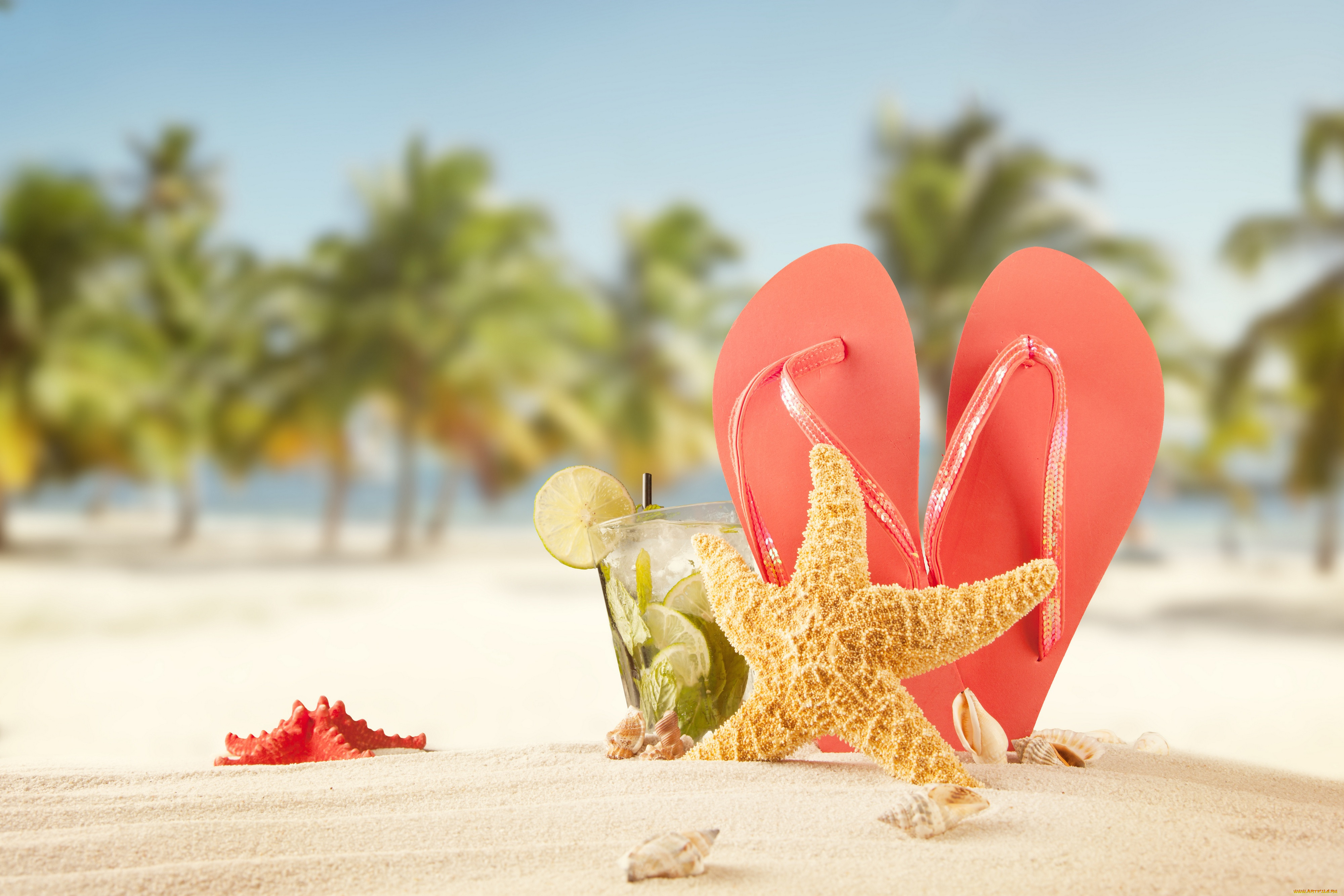 , ,  ,  ,  , , , , palms, beach, tropical, vacation, summer, , , , , , , , 